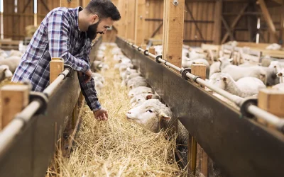 agence-immobiliere-agricole